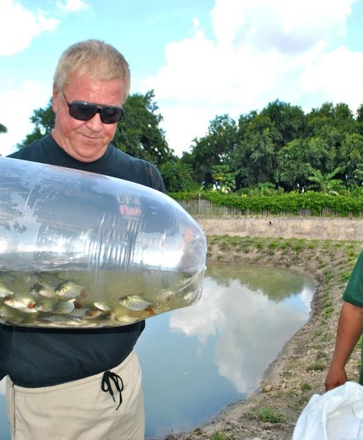 Tambaqui Aquaculture Update