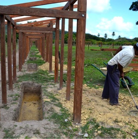 Festival Construction – Composting Toilets!