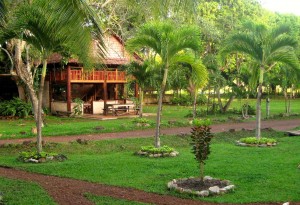 The lush grounds of Rock View Lodge